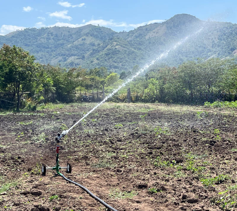 farming 3